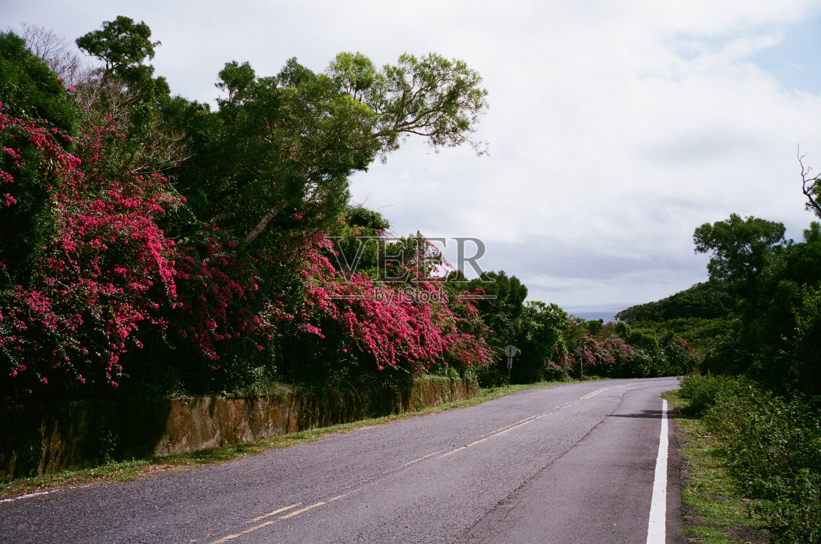 风景照片摄影图片