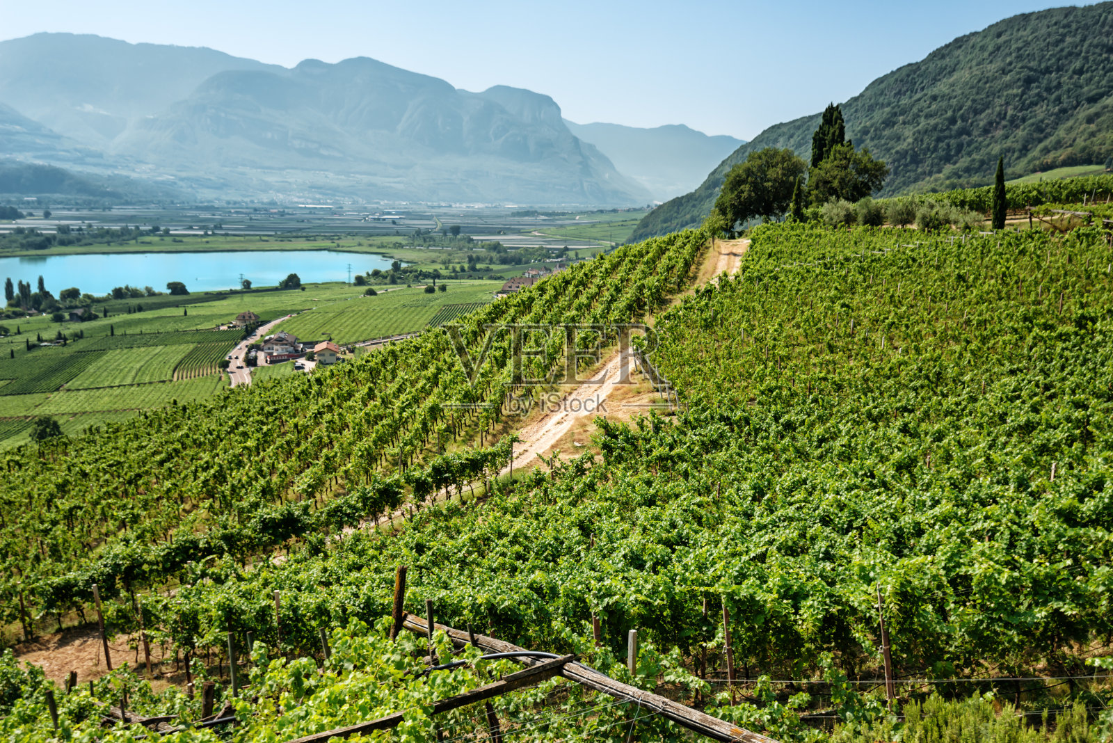 意大利南蒂罗尔山区和葡萄园之间的Kaltern湖照片摄影图片