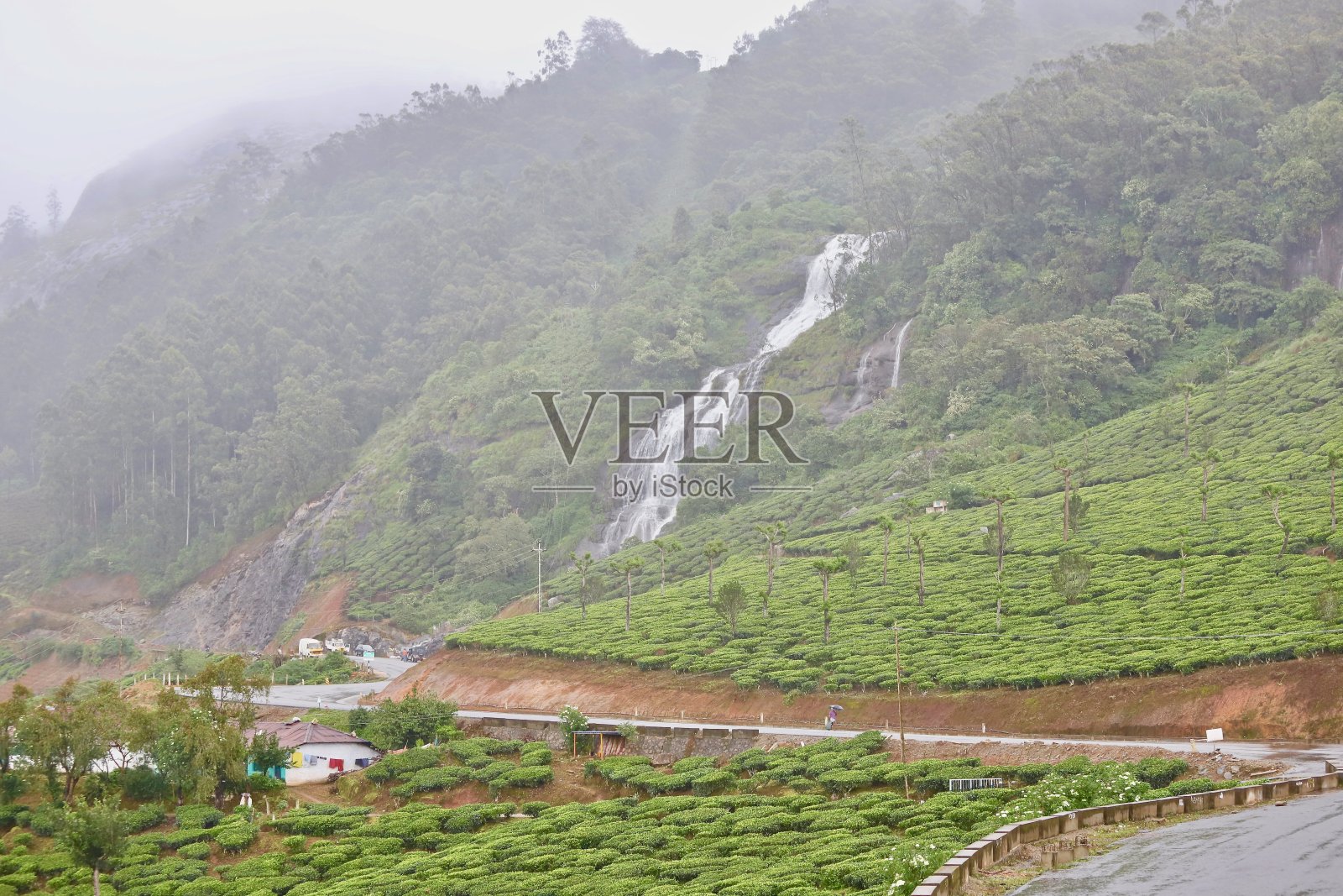 蒙纳照片摄影图片