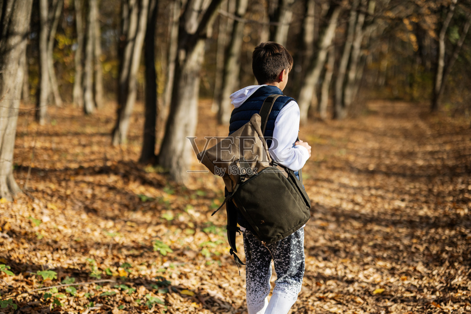 秋天户外肖像的少年男孩与背包在森林。照片摄影图片
