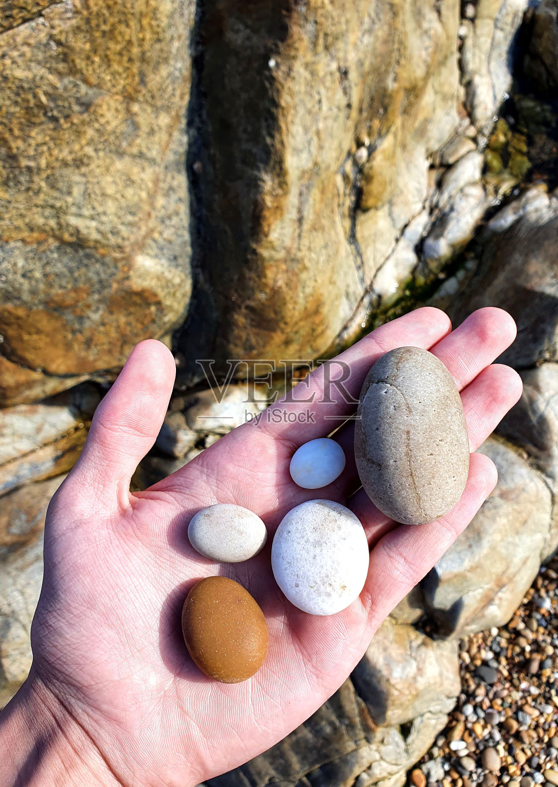 手拿圆石头照片摄影图片