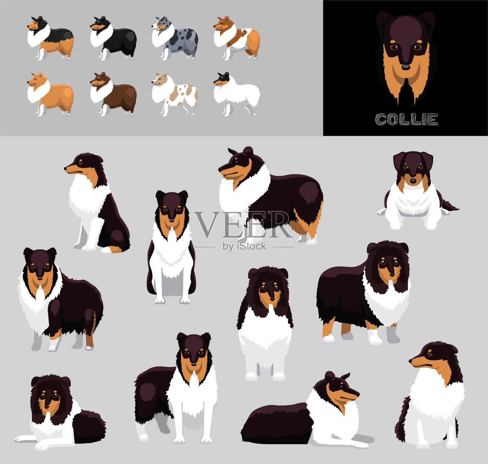 狗牧羊犬黑色外套卡通矢量插图颜色变化集插画图片素材