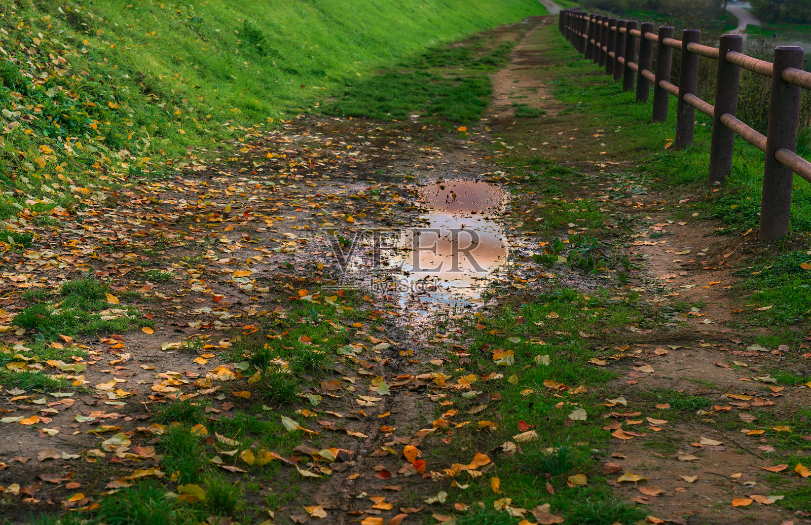 秋天的公园小径照片摄影图片