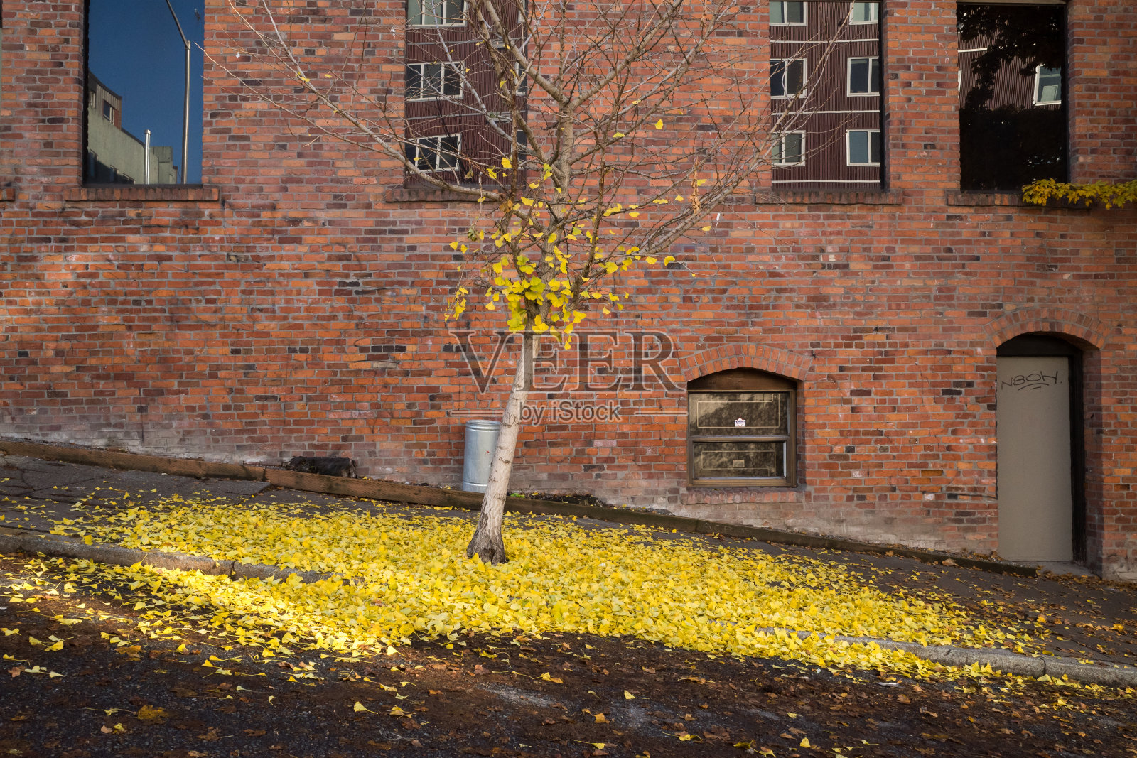秋天照片摄影图片