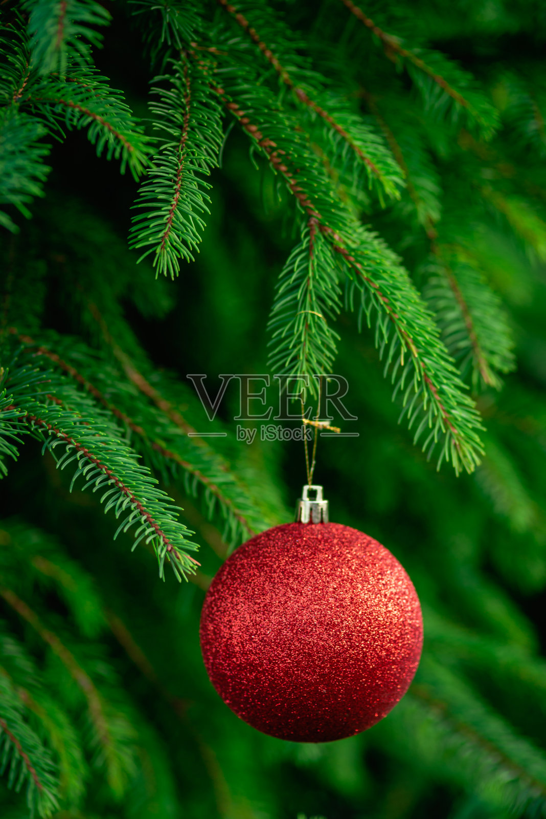 圣诞树背景儿童手挂装饰绿色红球玩具树枝饰品新年庆祝概念复制空间美丽的节日卡片明信片准备金星户外。照片摄影图片