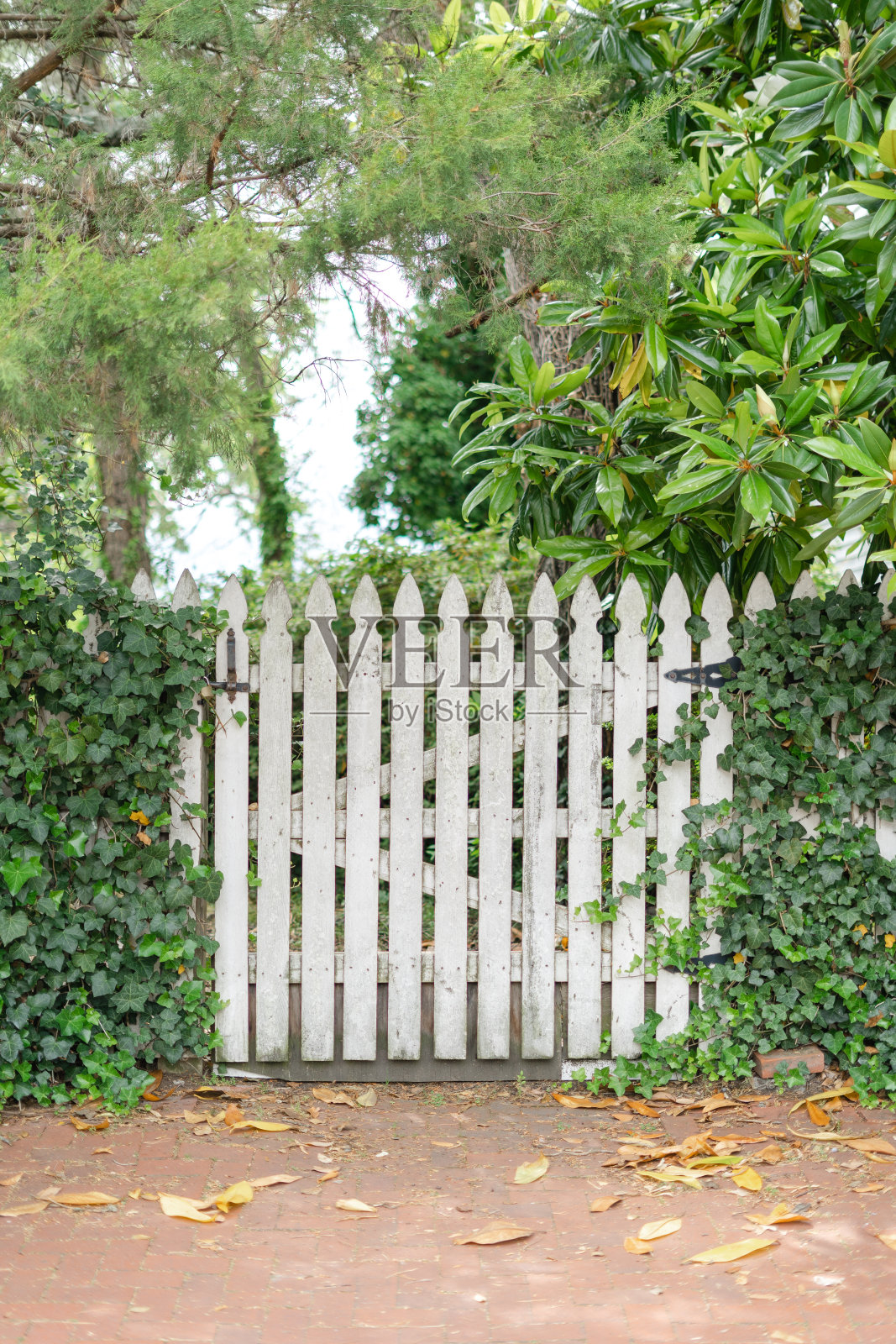 花园门口照片摄影图片