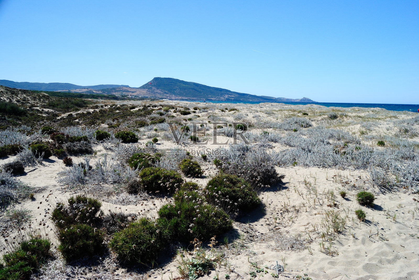 铜管海滩的景色照片摄影图片