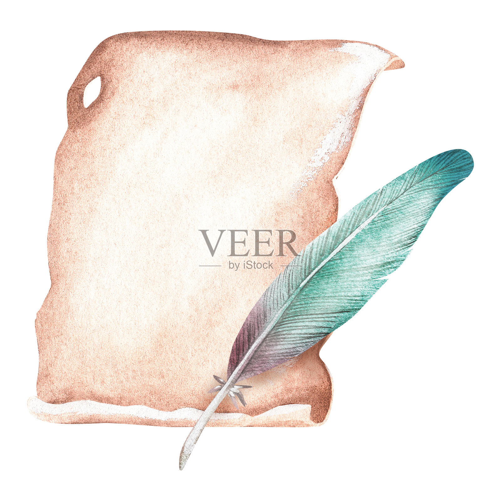 一张纸和一根鹦鹉羽毛。水彩插图。孤立在白色背景上。插画图片素材