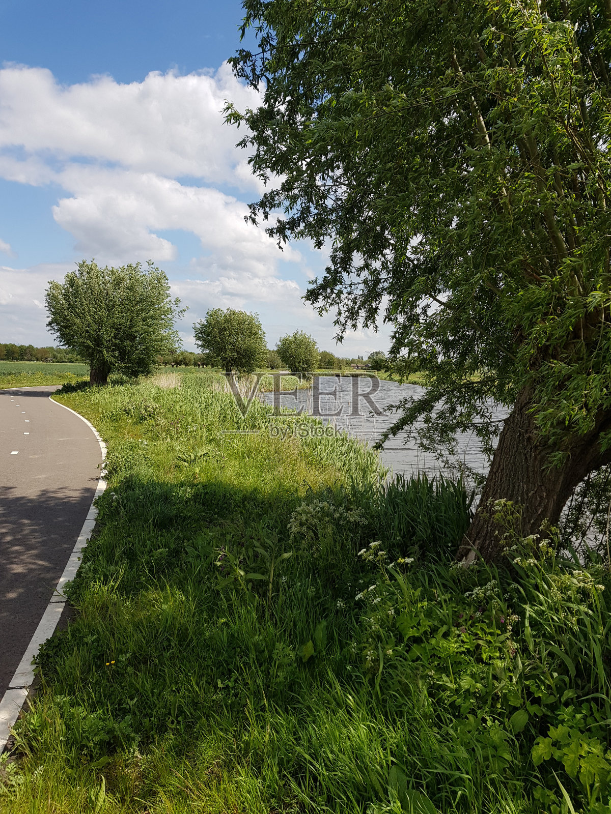 沿着草地和水的小路照片摄影图片
