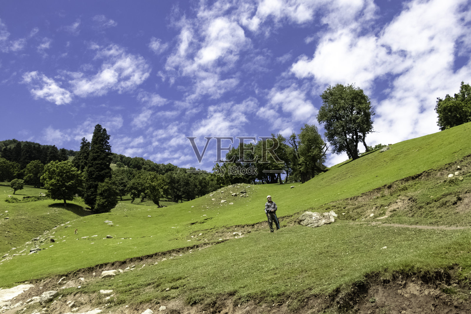 美丽的克什米尔风景。克什米尔郁郁葱葱的绿色草地和群山照片摄影图片