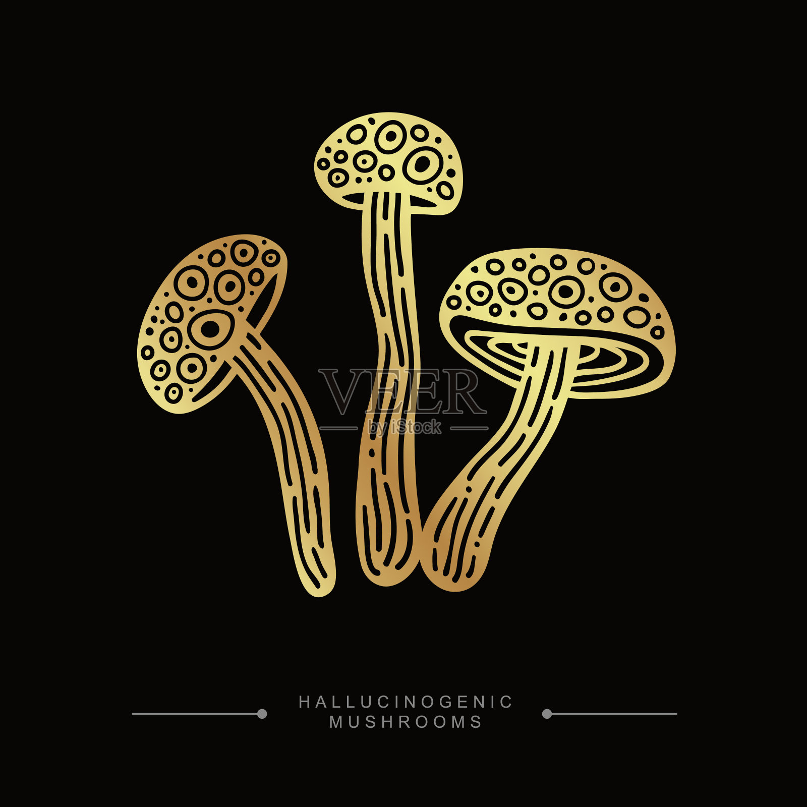 裸盖菇素蘑菇的金色绘图贴纸。一组三种金色有毒神奇致幻蘑菇。手绘毒菌概念。矢量图设计元素图片