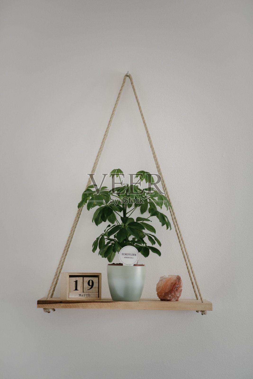 木板挂在绳子上，有日历和一盆植物照片摄影图片
