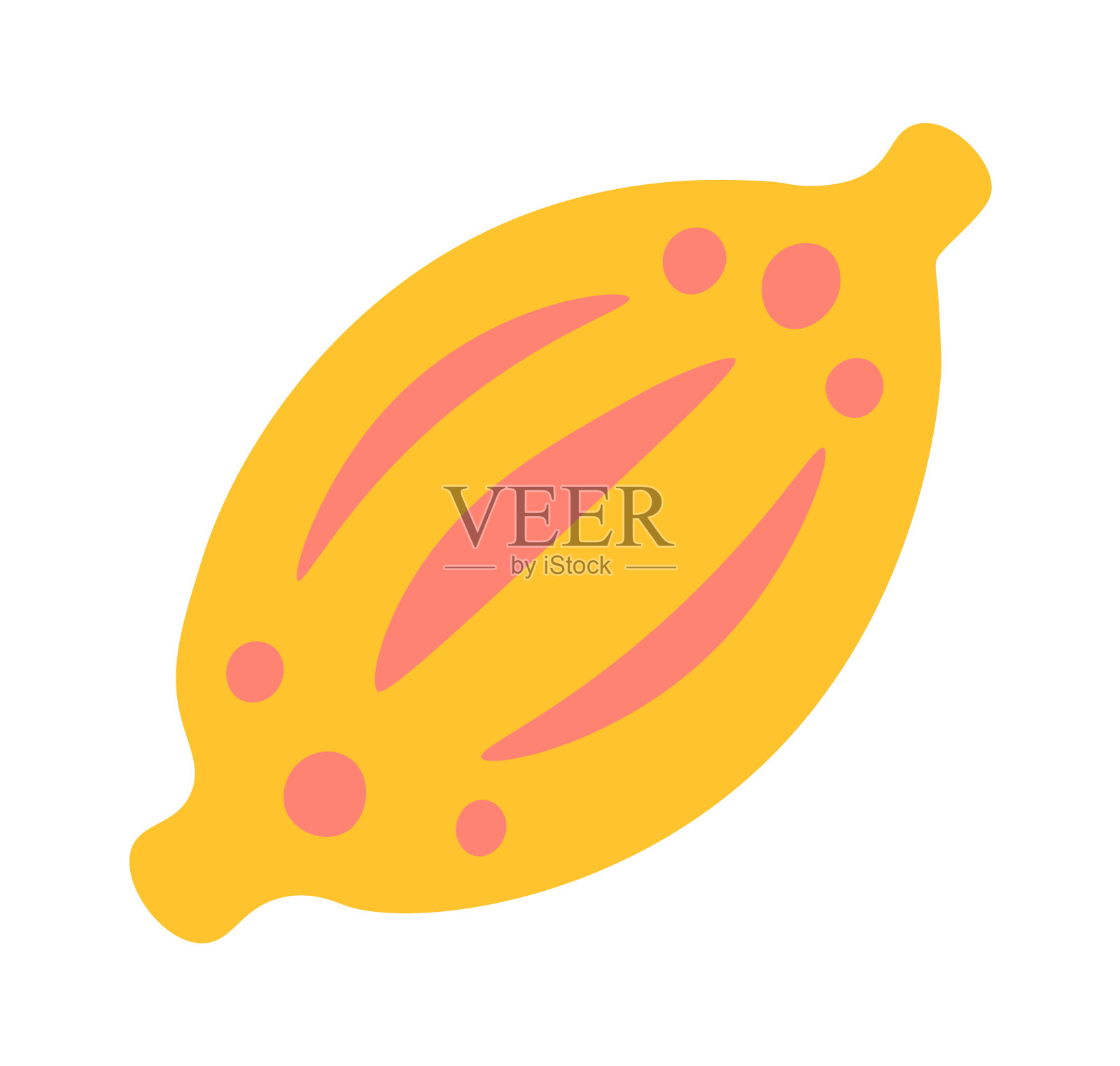 墨西哥水果图标。矢量图插画图片素材