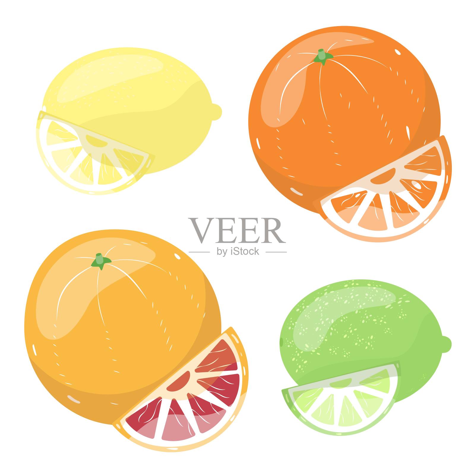 柑橘类水果套装插画图片素材