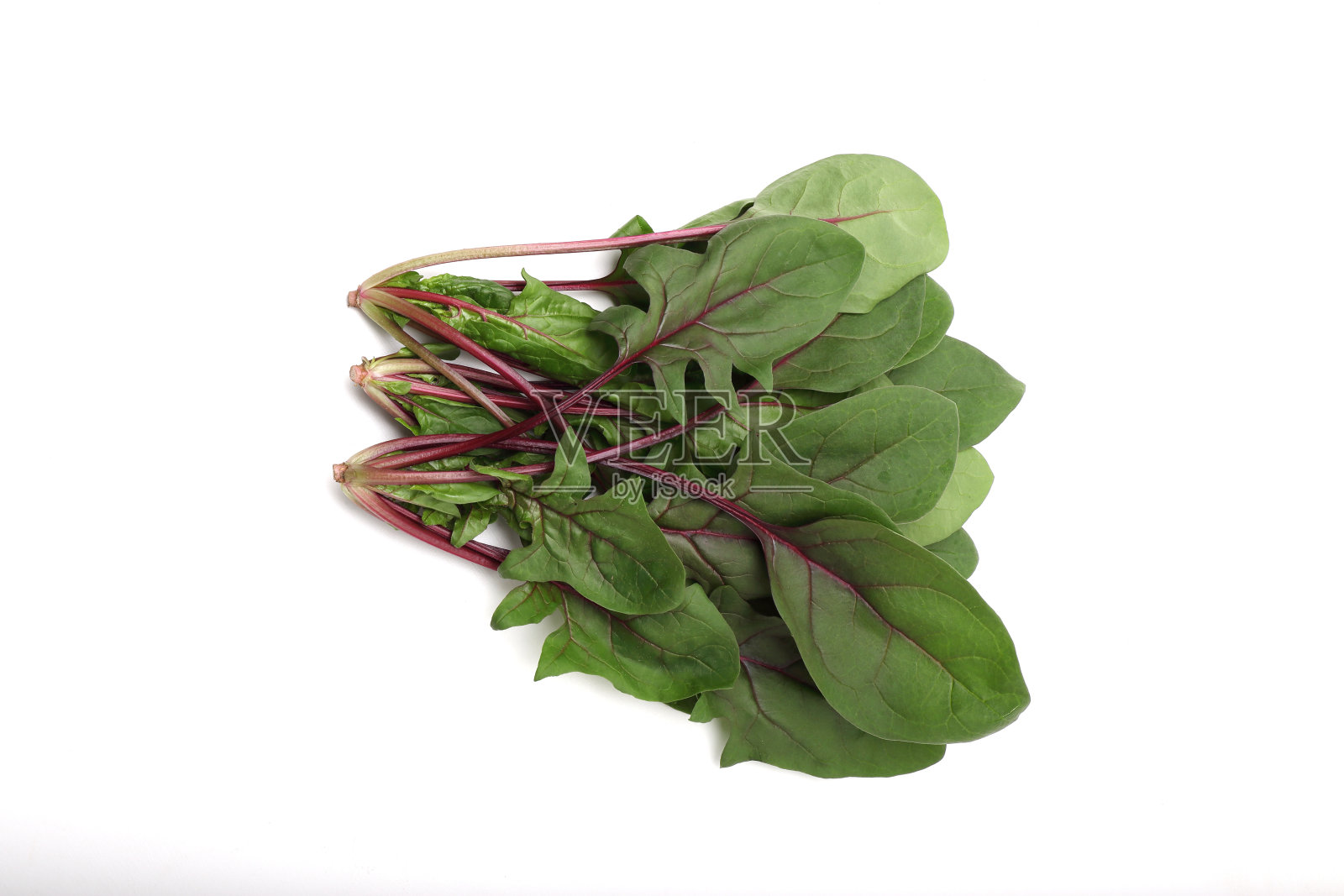 白色背景的菠菜沙拉照片摄影图片