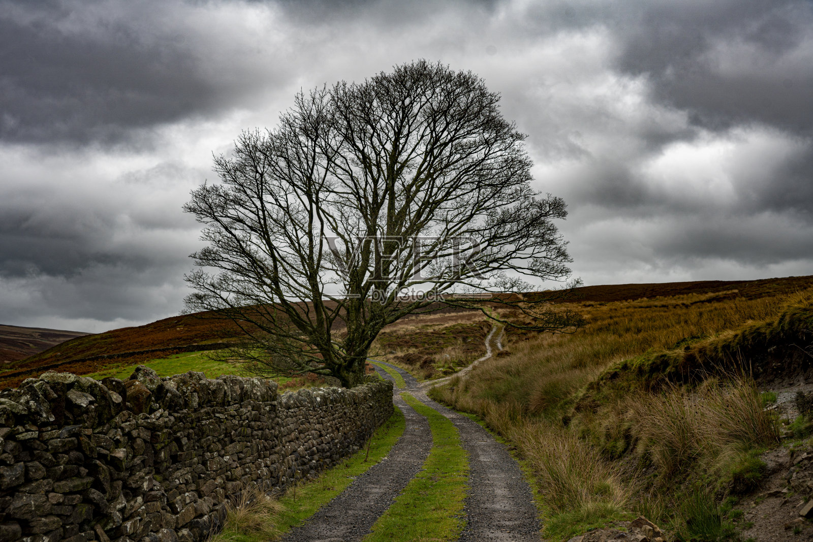 博尔顿庄园附近的风景，斯基普顿，北约克郡照片摄影图片