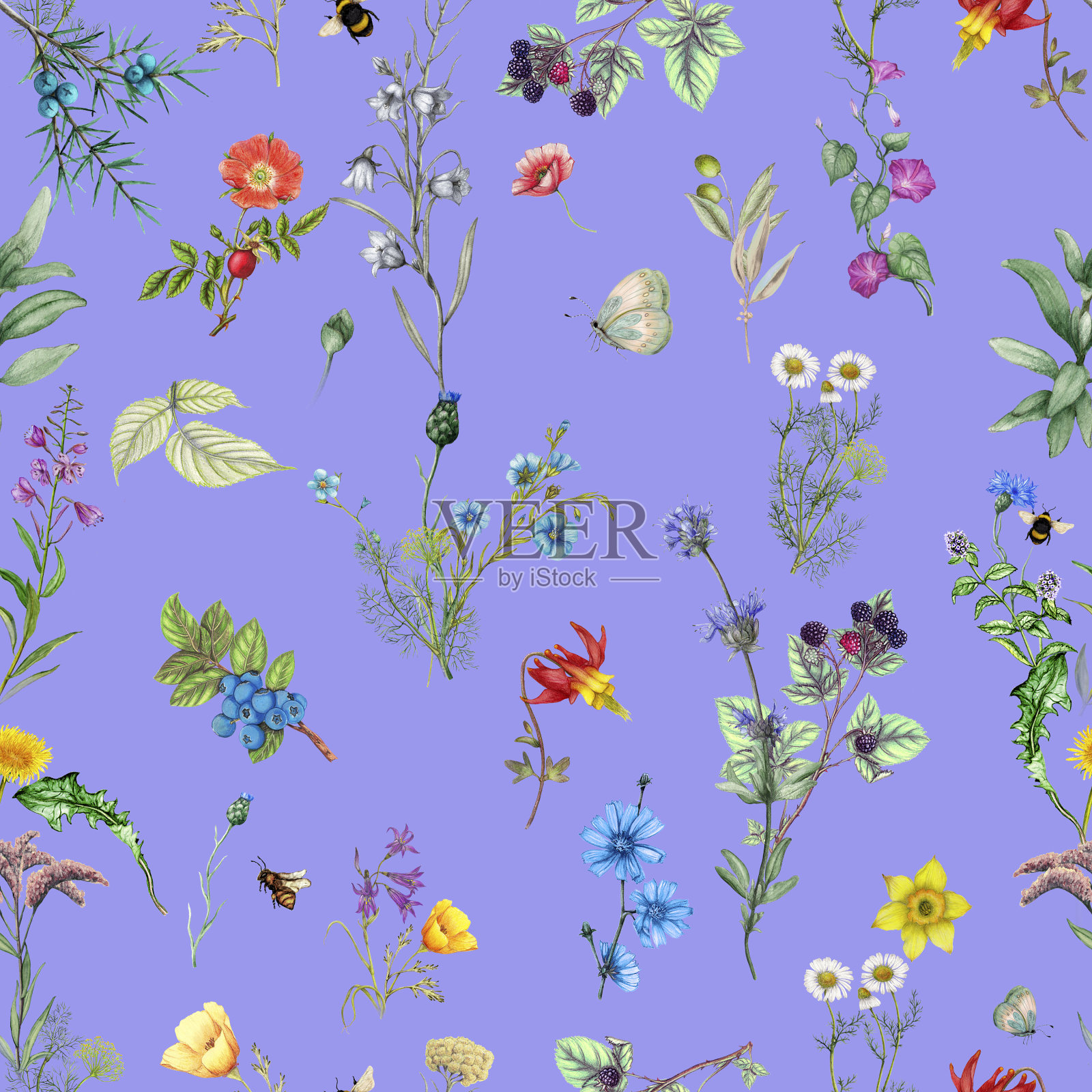 植物花卉图案水彩野花和森林植物插画图片素材