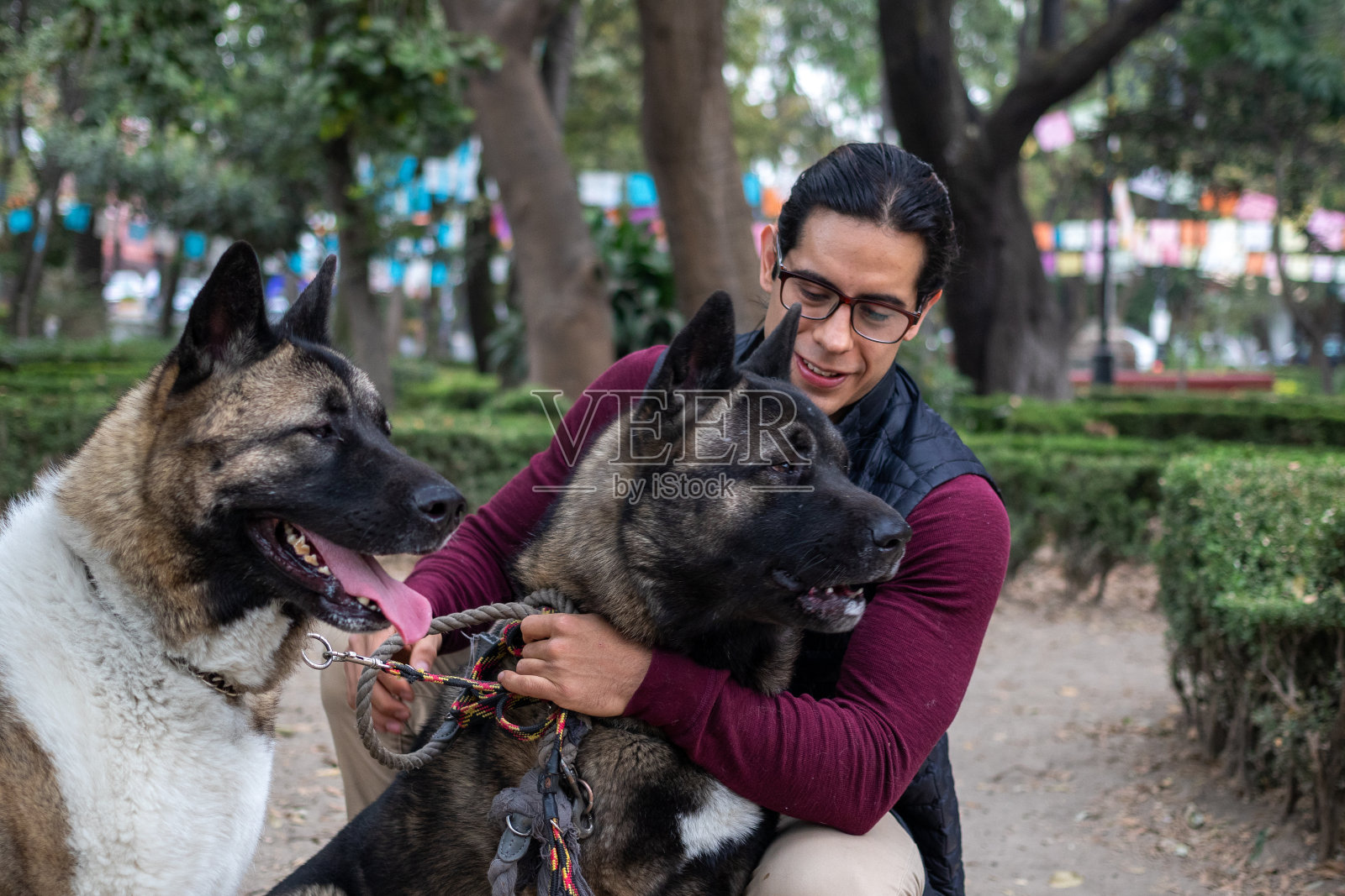年轻的西班牙男子在公园里抚摸并抱着他的美国秋田犬照片摄影图片