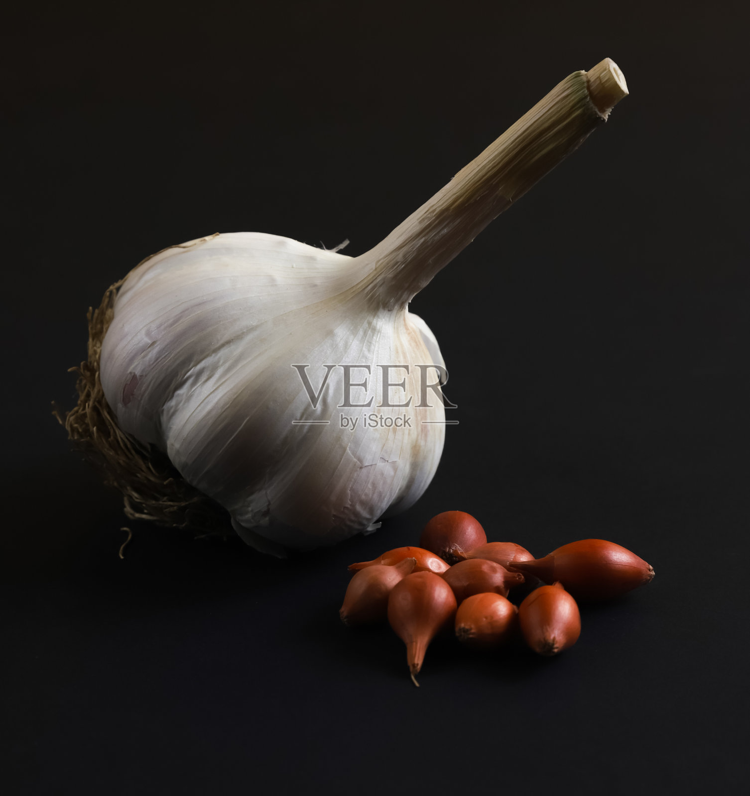 洋葱种子。鳞茎很小。浅景深照片摄影图片