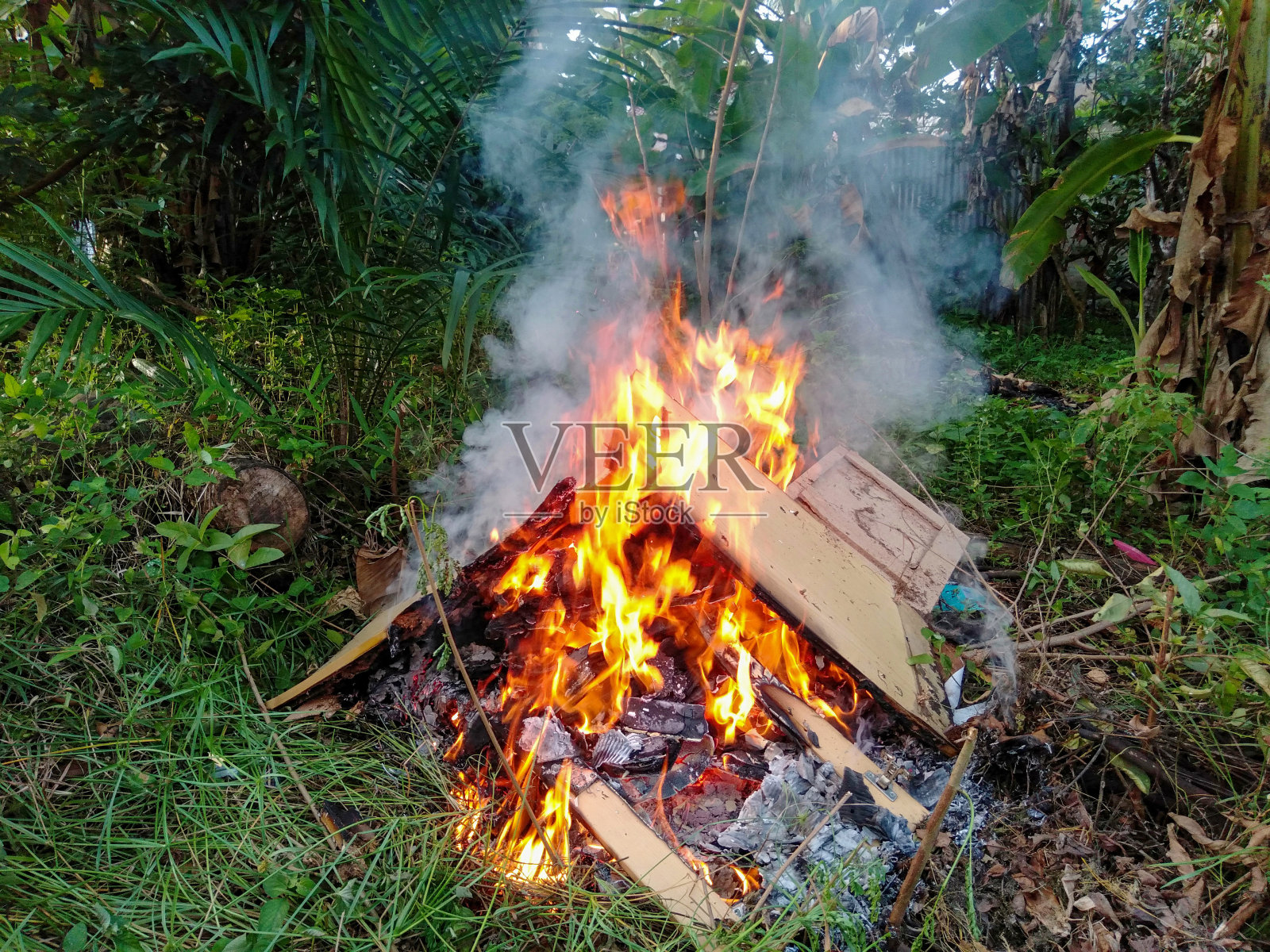 焚烧垃圾活动照片摄影图片