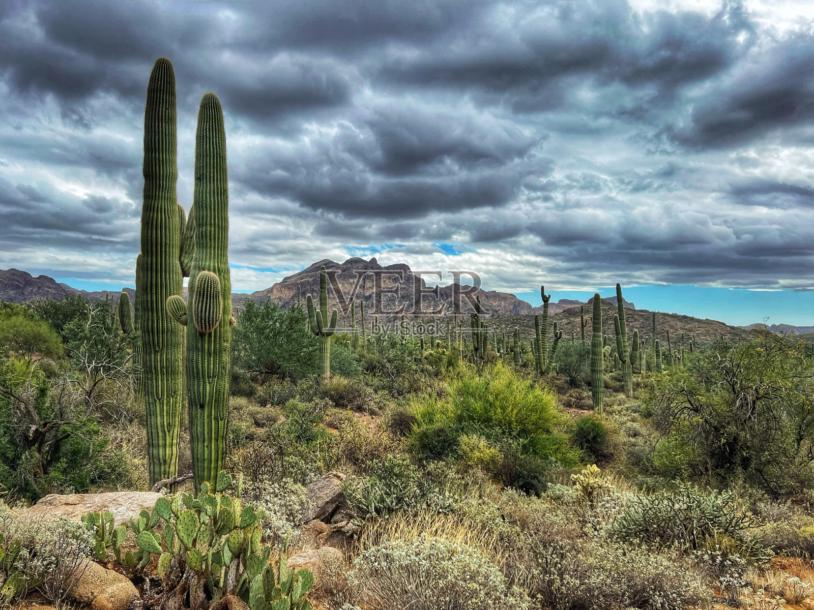 迷信的荒野照片摄影图片