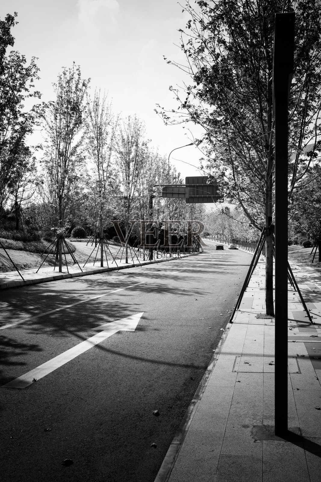 黑白相间的现代城市建筑照片摄影图片