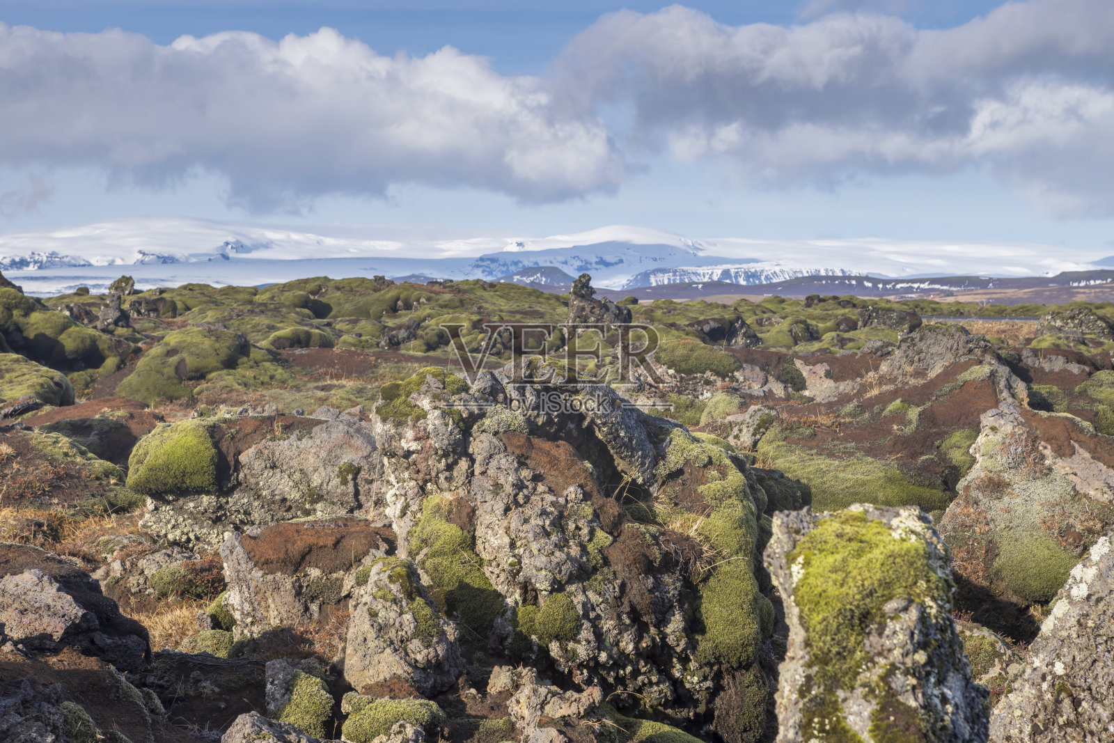 壮观的苔藓毯，在冰岛南海岸的Eldhraun熔岩田照片摄影图片