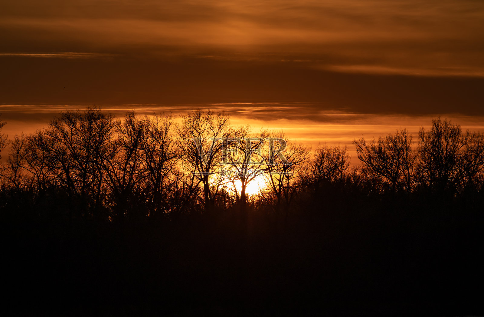 秋天，夕阳落在地平线上的树后照片摄影图片