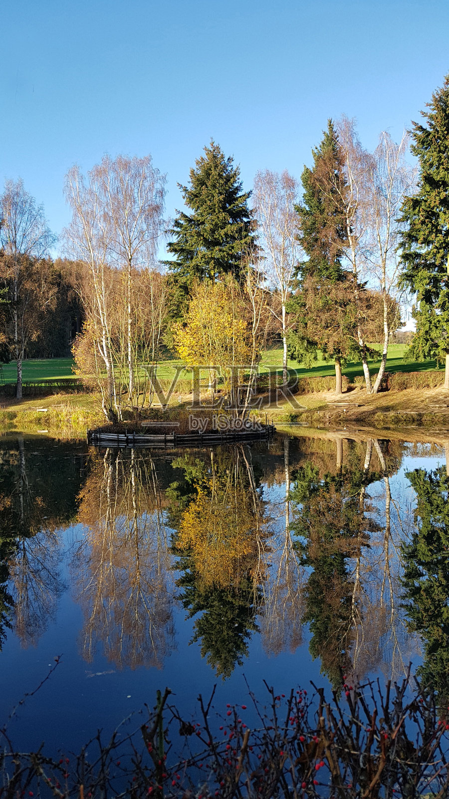 秋桦海照片摄影图片