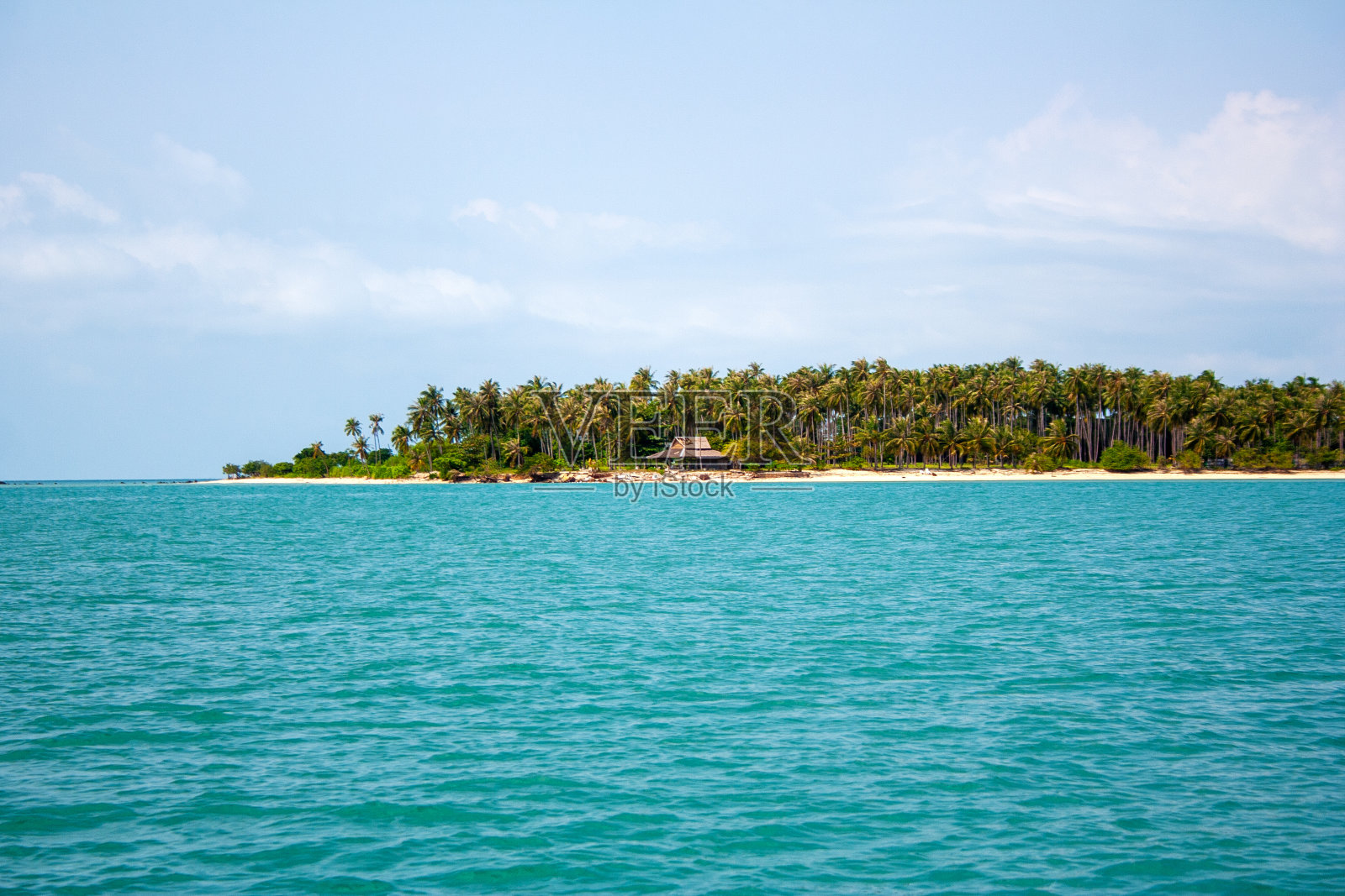 热带岛屿，有棕榈树和沙滩照片摄影图片