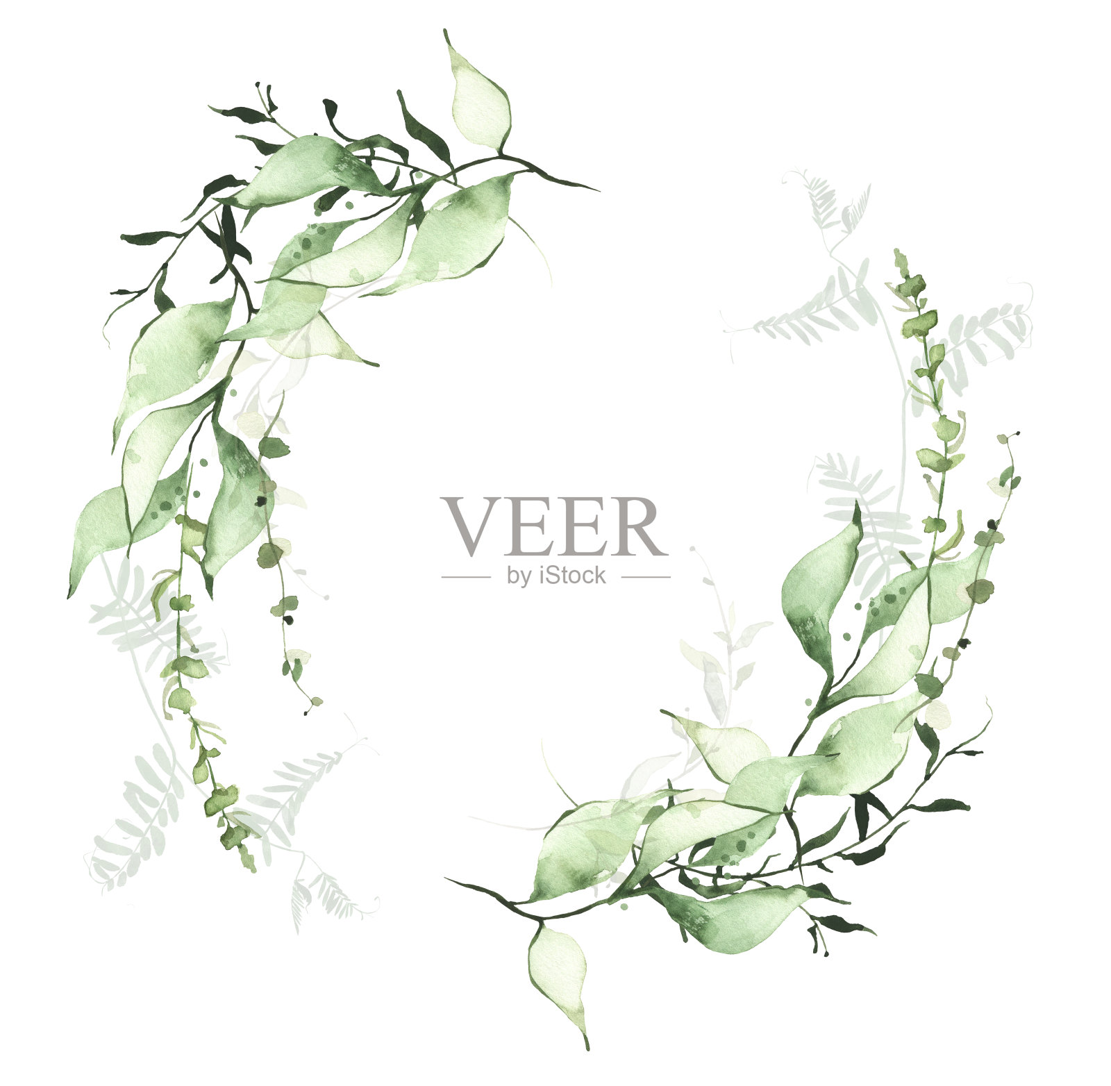 水彩绿色植物框架上的白色背景。浅绿色、翠绿色的野枝、叶和细枝花环。插画图片素材