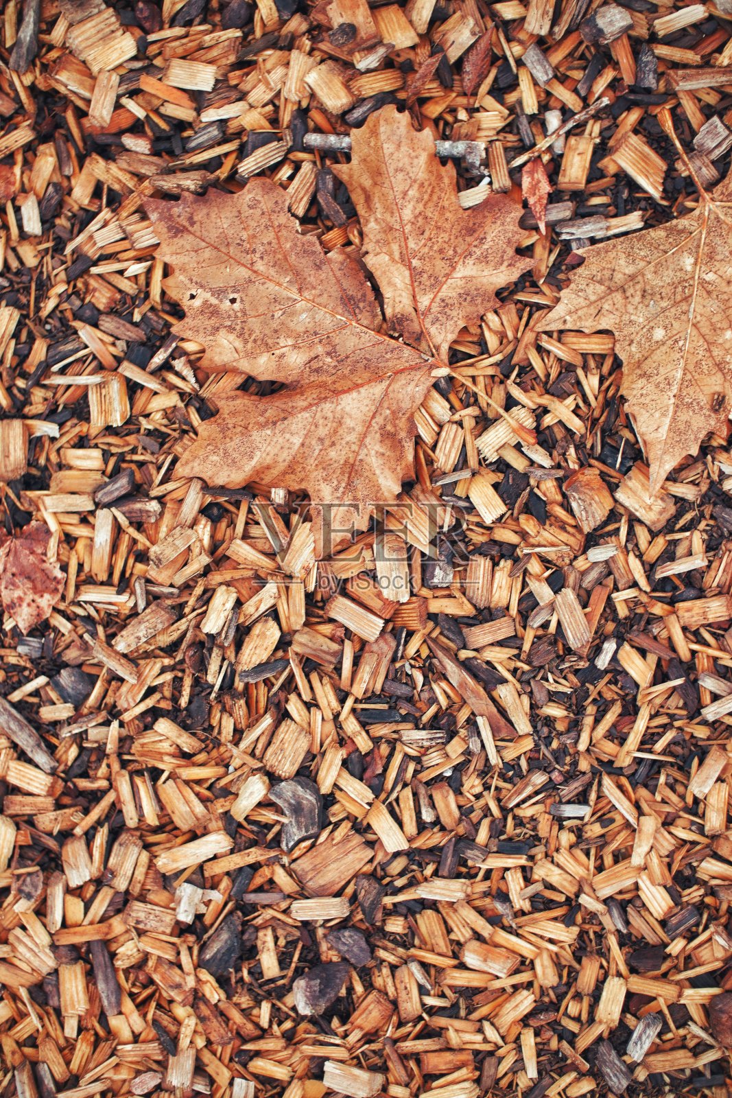 秋季土壤照片摄影图片