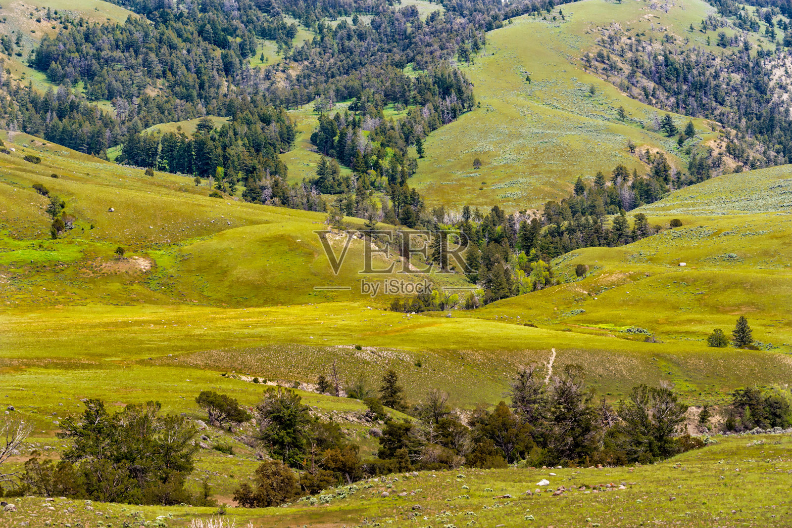 黄石国家公园的风景，怀俄明州，美国照片摄影图片