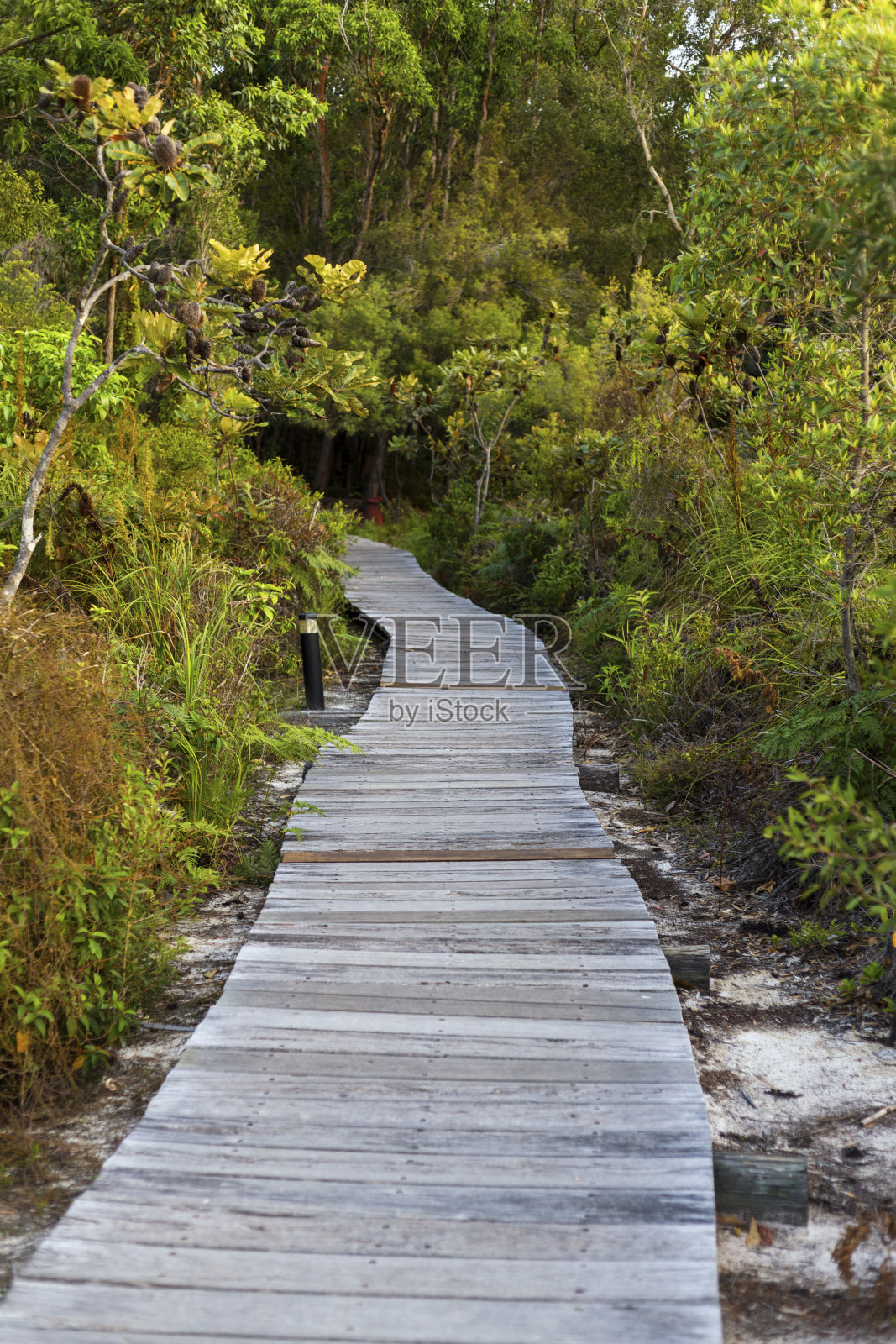菲沙岛泳滩照片摄影图片