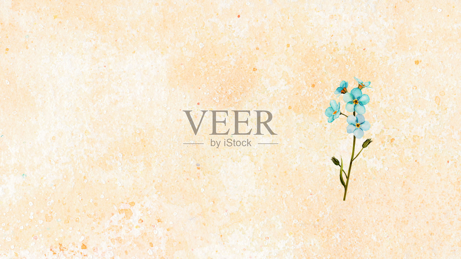 别忘了我的水彩画，树肌炎，蓝色的野花，水彩花，花水彩画，插画图片素材