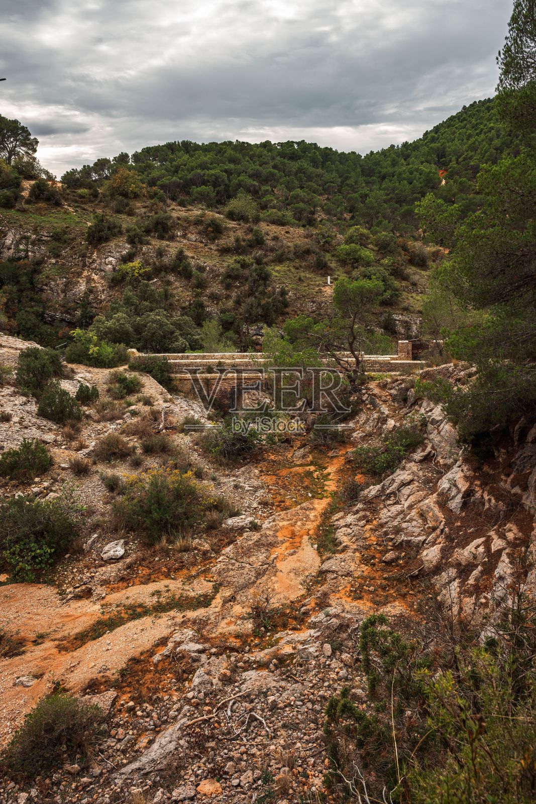 多云天空下森林覆盖的山丘的垂直照片照片摄影图片