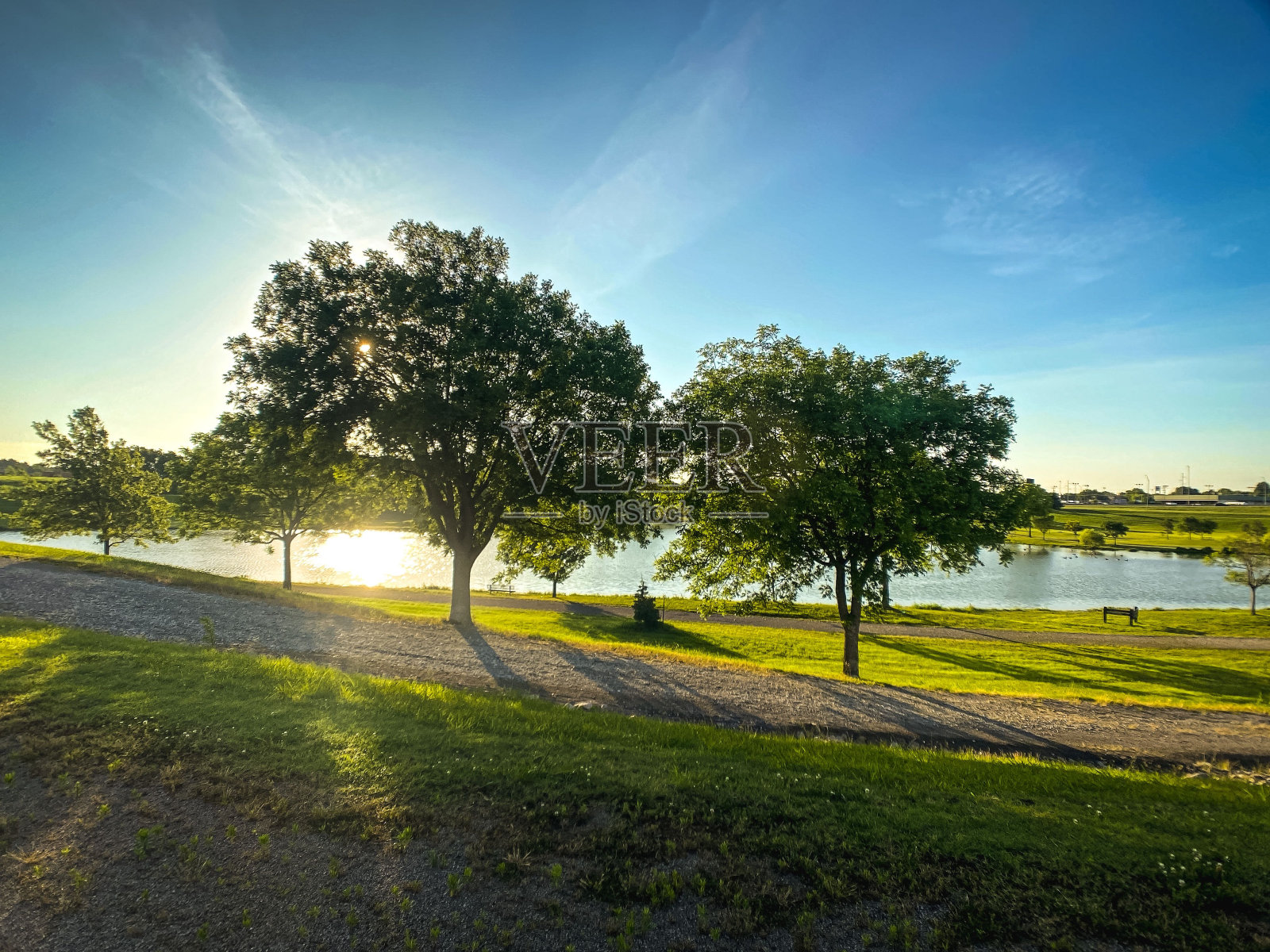 风景如画的树木俯瞰池塘，阳光透过树叶照耀照片摄影图片