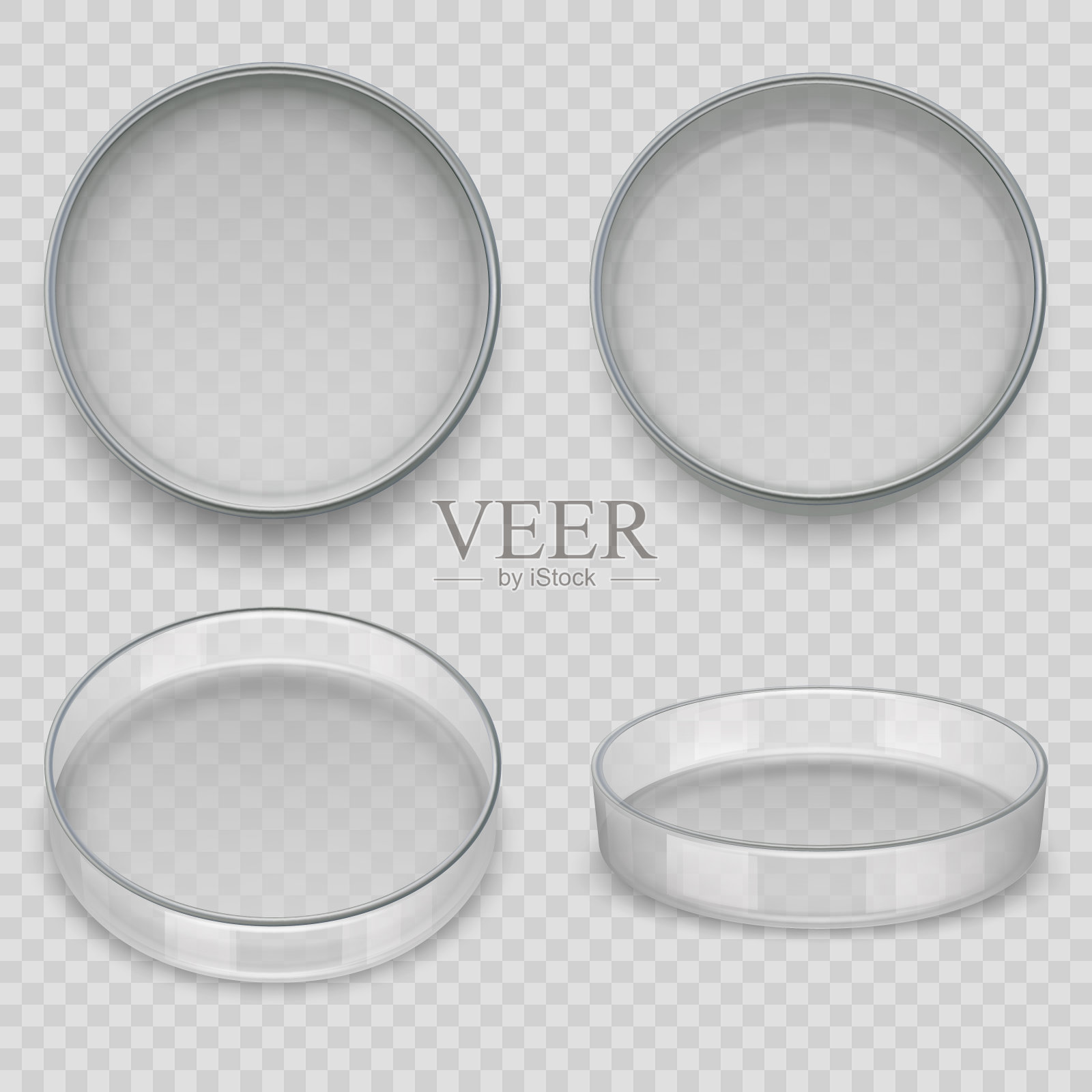 培养皿中。用于实验室实验的真实透明盘子，医药分析容器，体面的向量模板插画图片素材