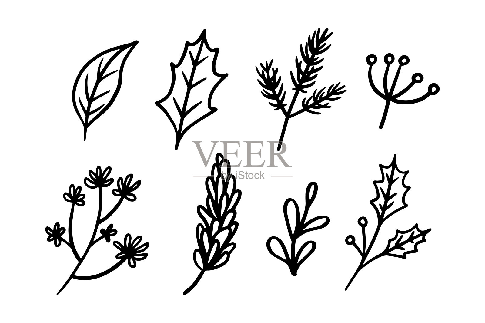 一套冬季和圣诞花卉手绘插画设计插画图片素材