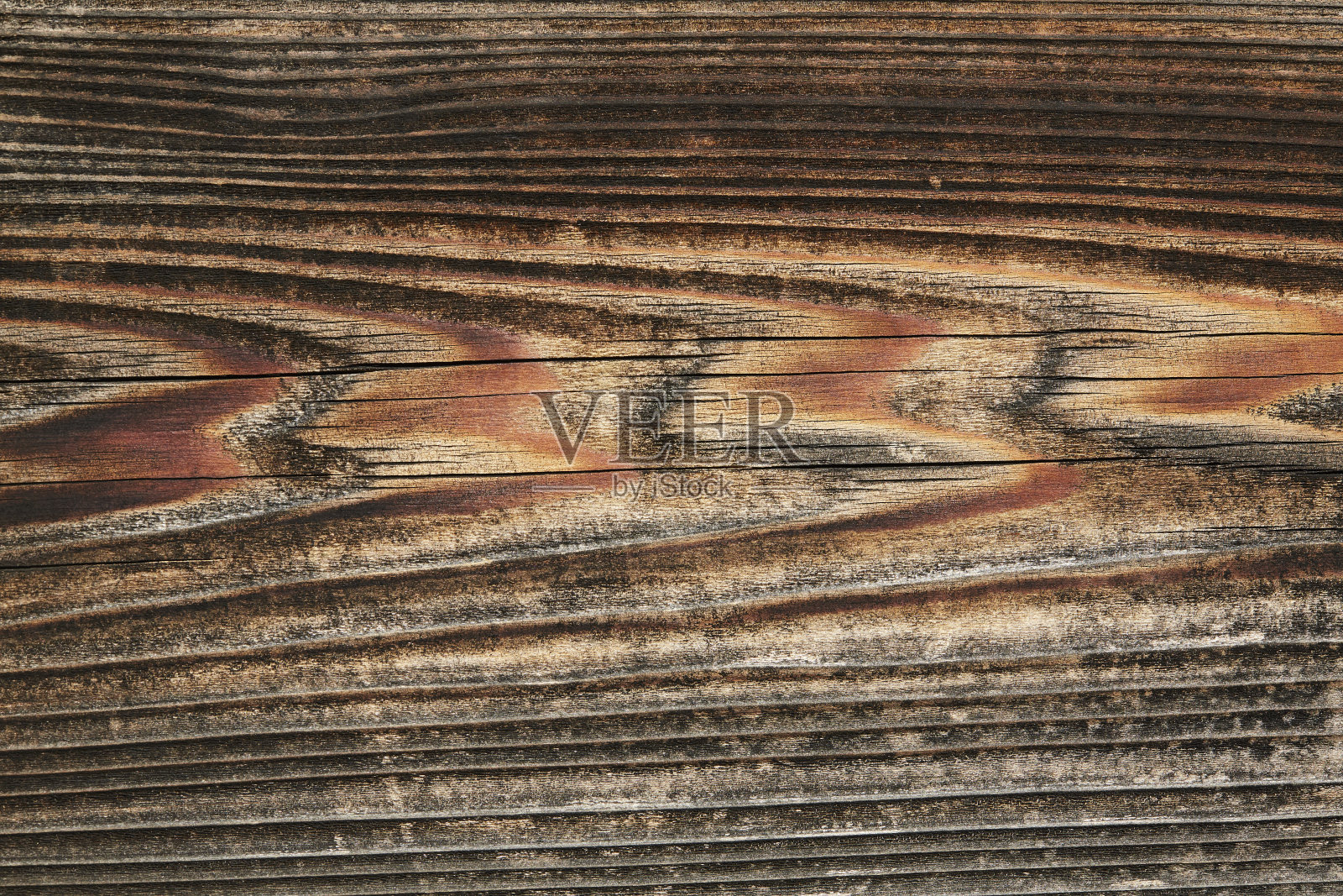 一块硬木的碎片照片摄影图片