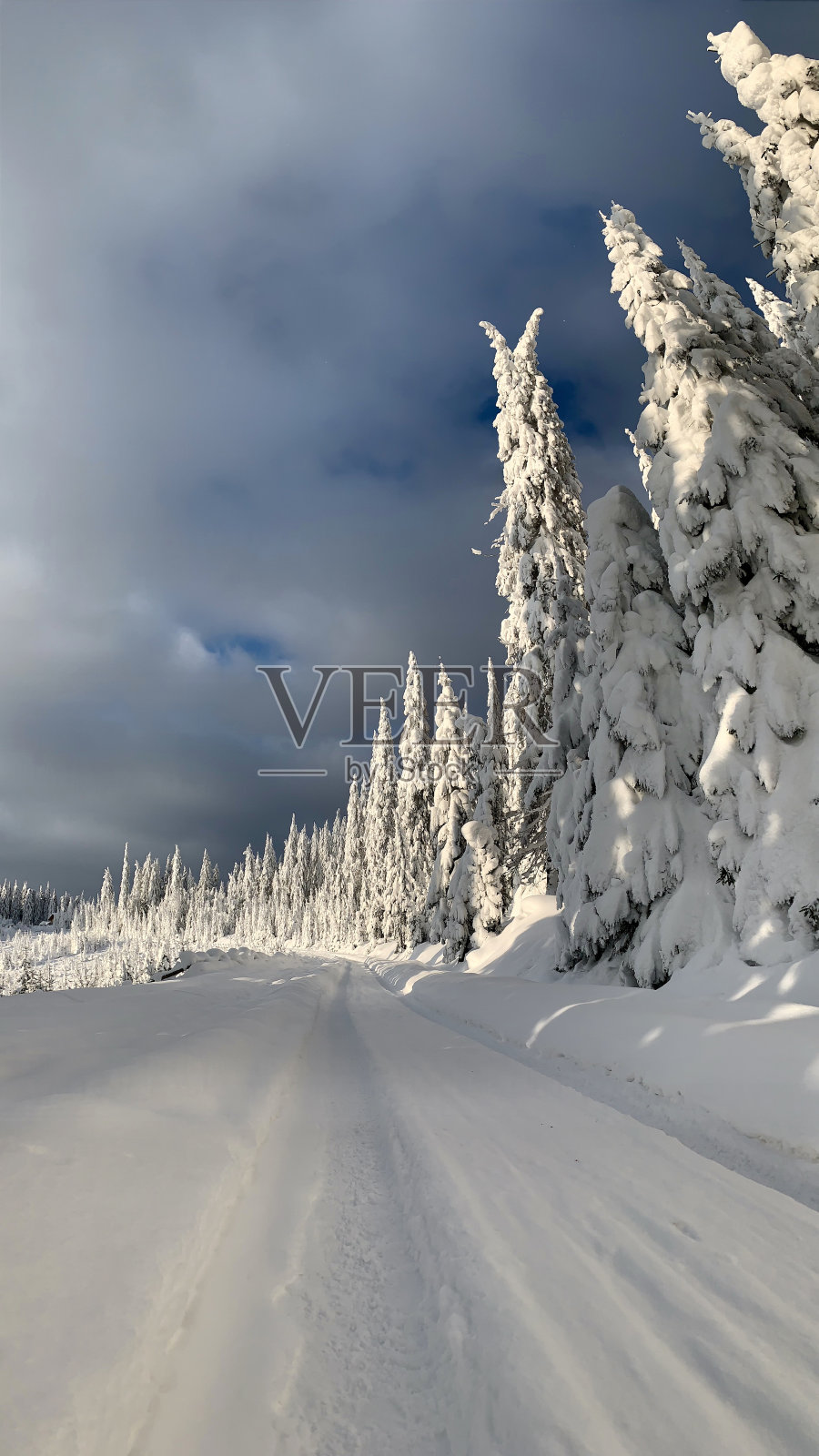 美丽的冬季景观照片摄影图片