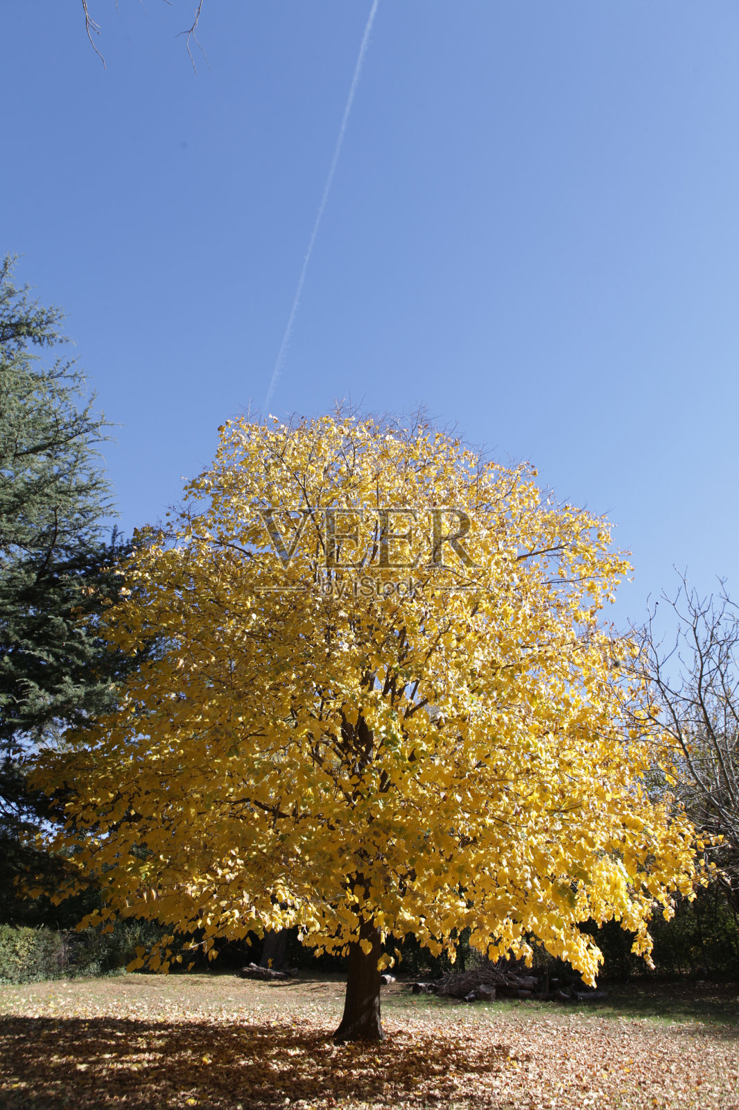 伊科·克鲁兹别墅，科尔多瓦，阿根廷照片摄影图片