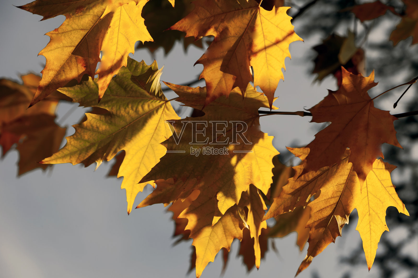 伊科·克鲁兹别墅，科尔多瓦，阿根廷照片摄影图片