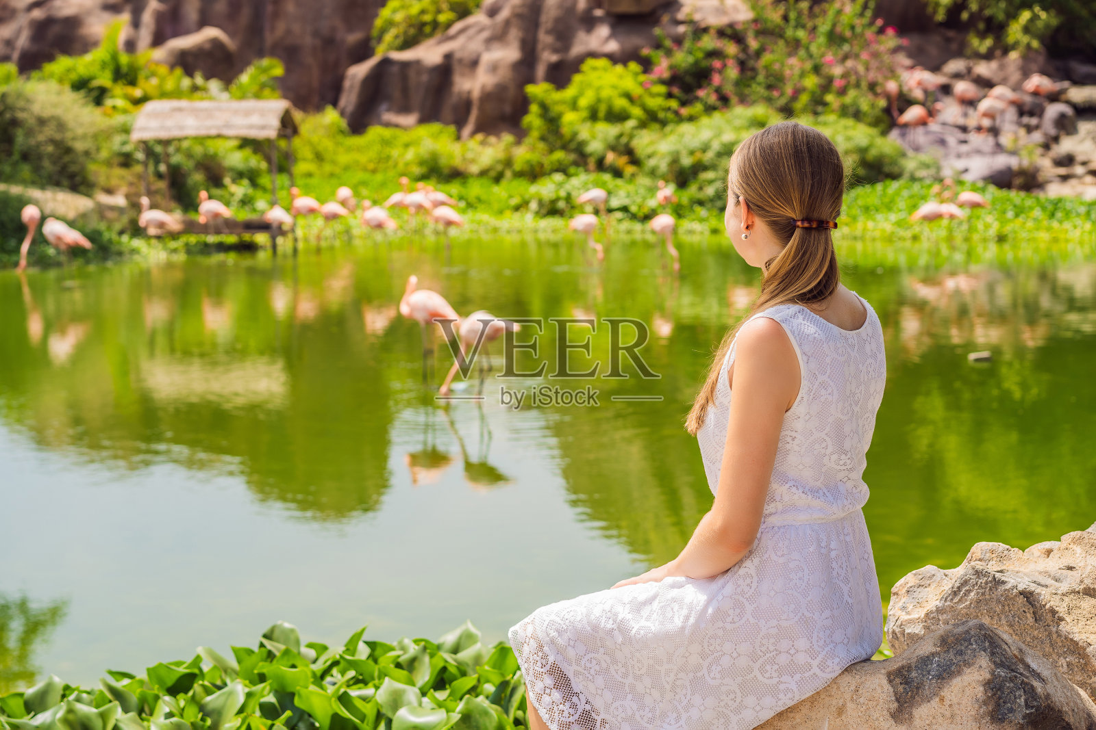 一个年轻女子在公园里看鸟照片摄影图片