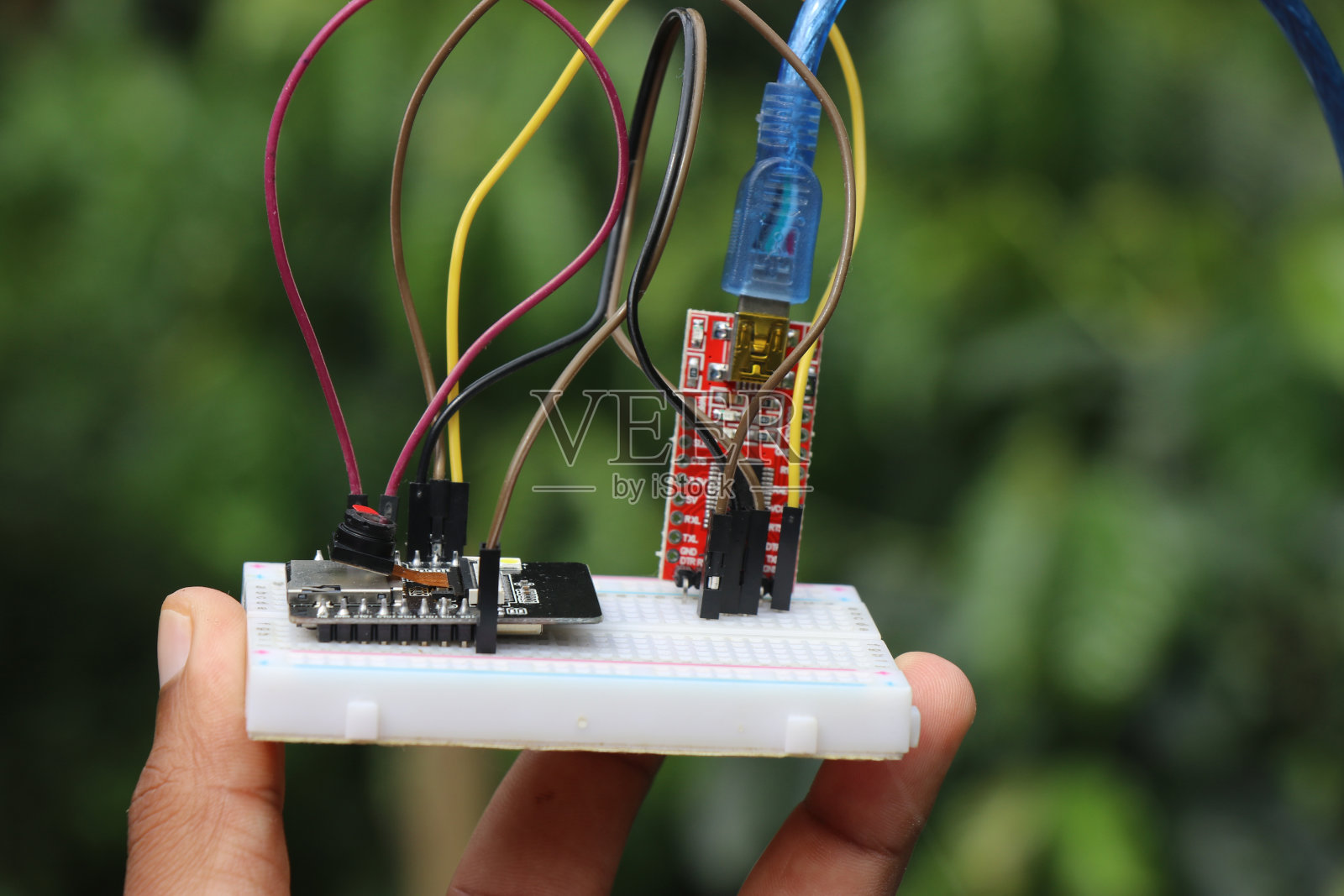 微控制器板与其他电子元件制成一些电子项目的原型，放在面包板上拿在手里照片摄影图片