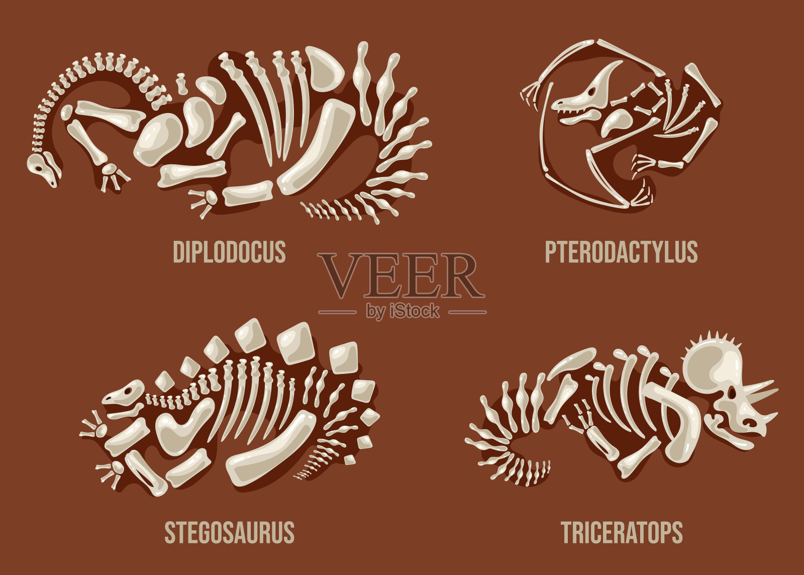 恐龙骨架与名称文字矢量设计图形插图元素插画图片素材