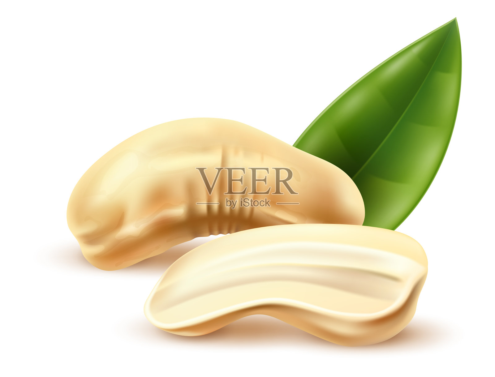 现实的坚果。3D天然产品。干蔬菜零食。带叶腰果头。素食超级食品。饮食营养。健康食用种子。剥豆子。矢量烹饪植物成分插画图片素材