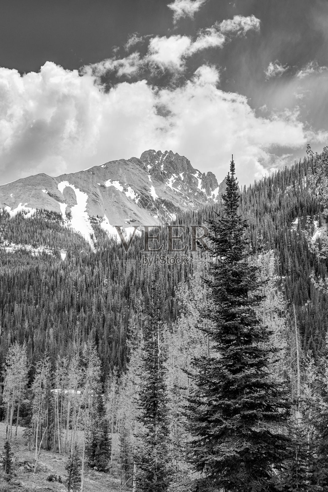 多云天空下的山和草地景观灰度图照片摄影图片