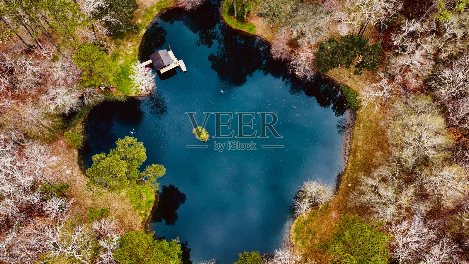 鸟瞰湖上被树木环绕的小船坞屋照片摄影图片