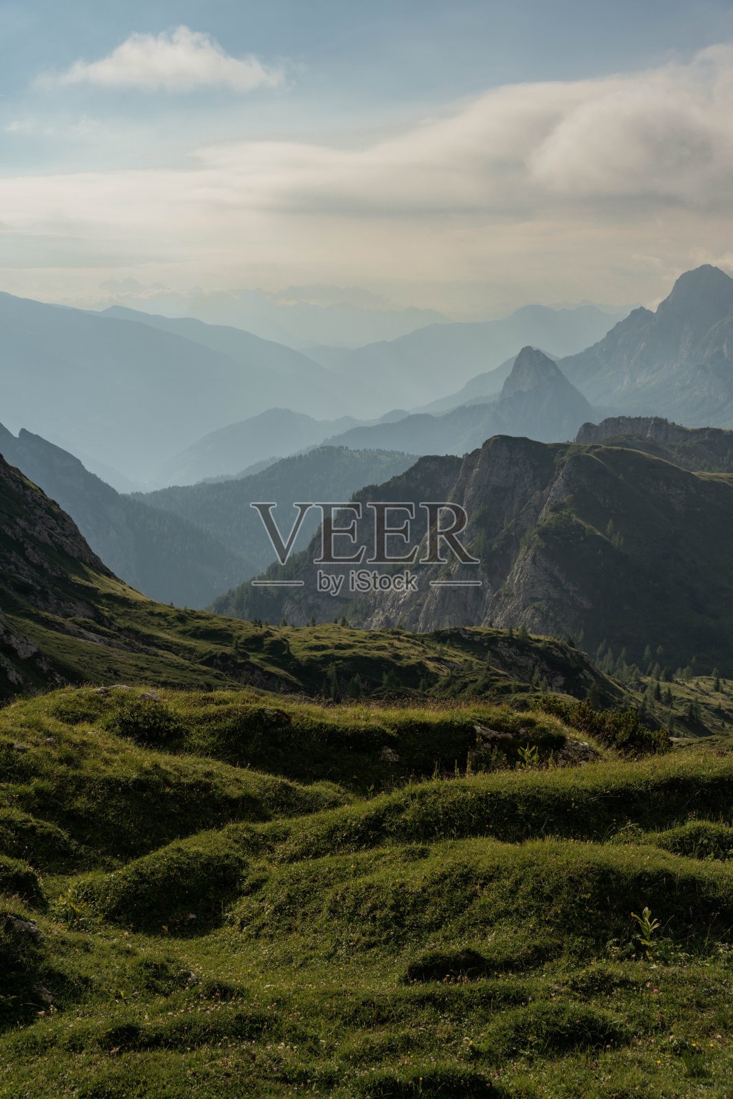 草地，背景是山的剪影照片摄影图片